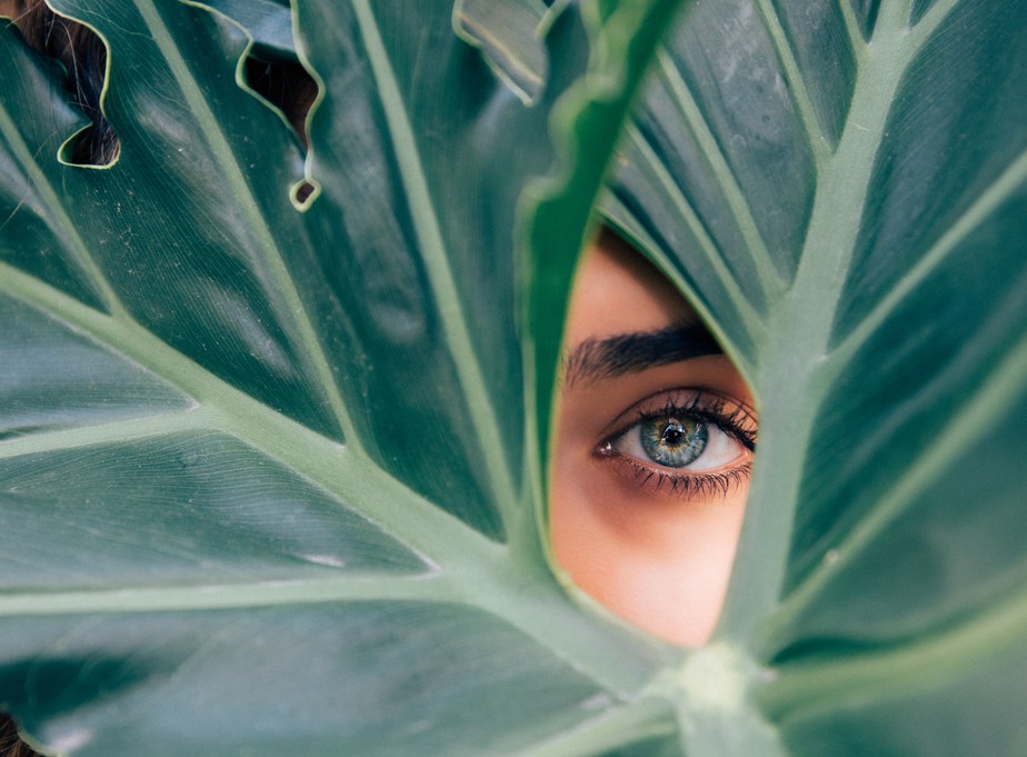 Olho feminino através de uma planta