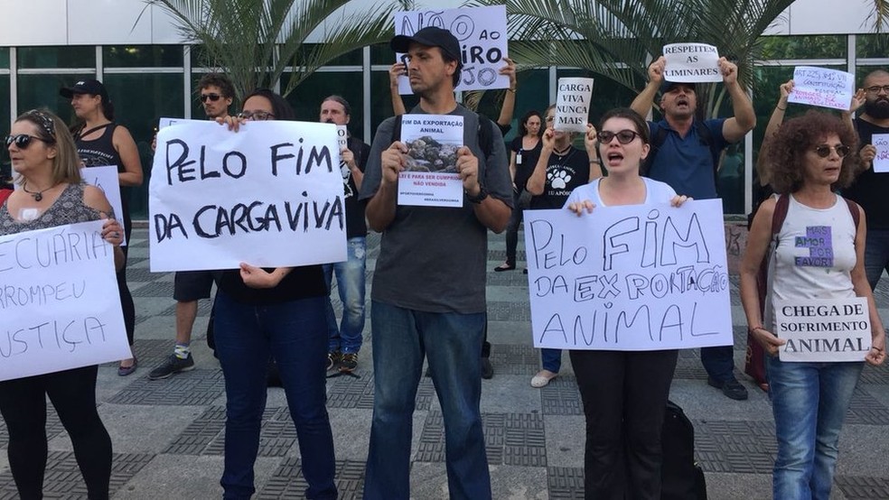 Protestos de ativistas pelo direito dos animais (Foto: Leandro Machado/ BBC Brasil)