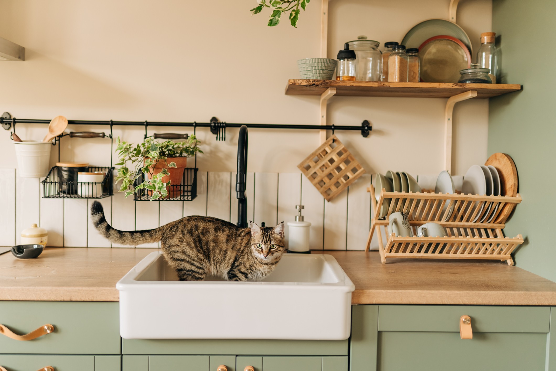 18 cozinhas planejadas e pequenas para inspirar seu projeto (Foto: Getty Images)