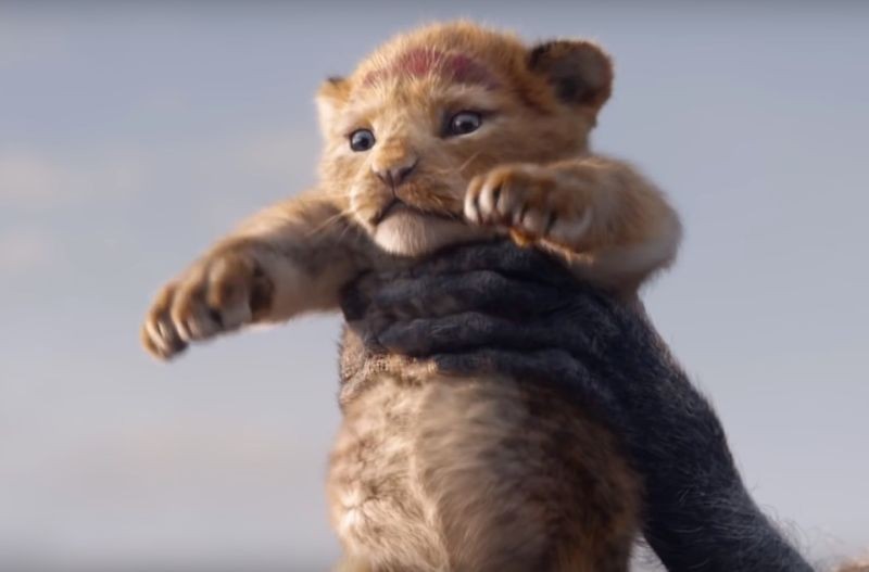 Simba em versão de live-action de &#39;Rei Leão&#39; (Foto: Divulgação)