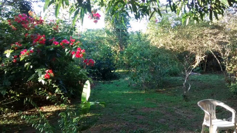 Evento vai ter rodas de conversa, poesia, cantorias da floresta e outras vivências culturais da região (Foto: Juliano Augusto e Nãke Laura/Arquivo Pessoal)