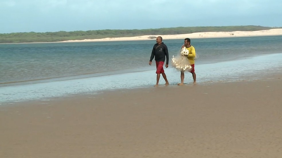 Pescadores estão preocupados com manchas de óleo no Delta do Parnaíba — Foto: Reprodução/TV Clube