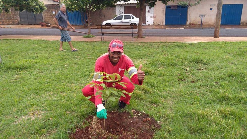Cerca de 500 mudas jÃ¡ foram plantadas na Ã¡rea urbana â Foto: DivulgaÃ§Ã£o/Vamos Arborizar SÃ£o Joaquim