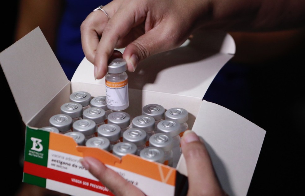 Estudo da Unicamp faz projeção sobre número de vacinados e redução de mortes por Covid-19 — Foto: Heudes Regis/SEI