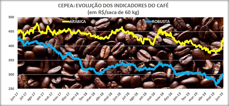 cafÃ© cepea (Foto: cafe cepea)