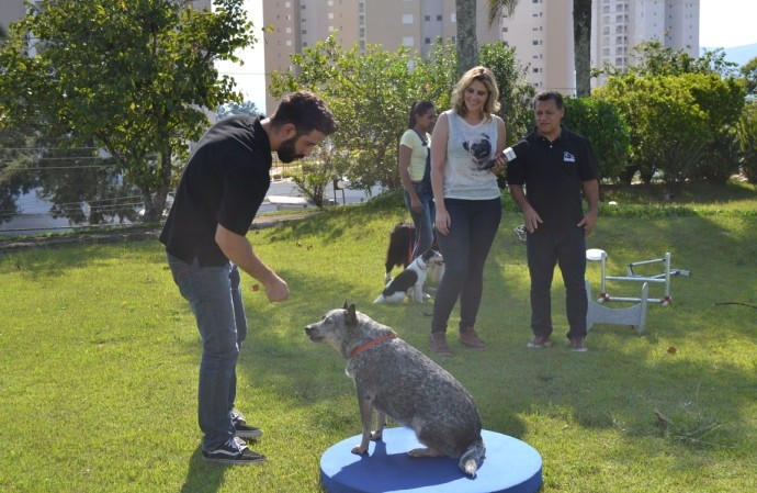 Você sabe o que é Agility? Cães dão show no Mais Diário (Foto: Reprodução / TV Diário)