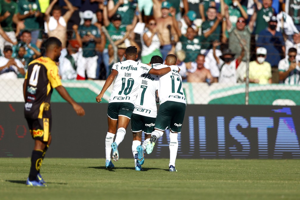 Gol Dudu Novorizontino x Palmeiras — Foto: Thiago Calil/AGIF
