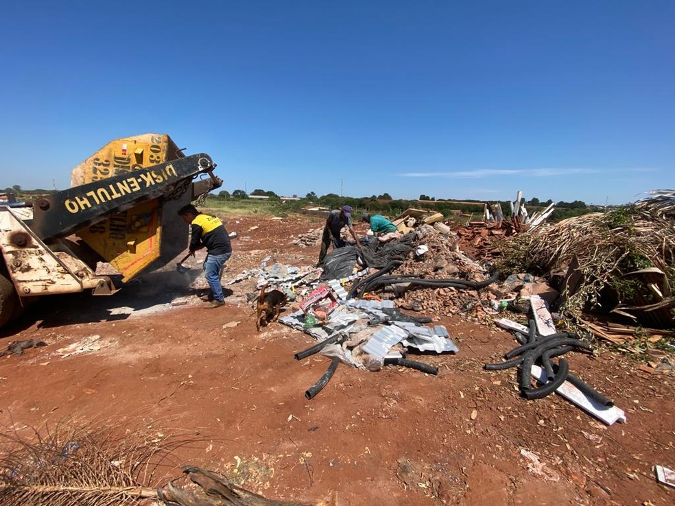 Cão e catadores em área com restos de poda e entulho em Pederneiras (SP) — Foto: Tribunal de Contas do Estado de São Paulo/Divulgação