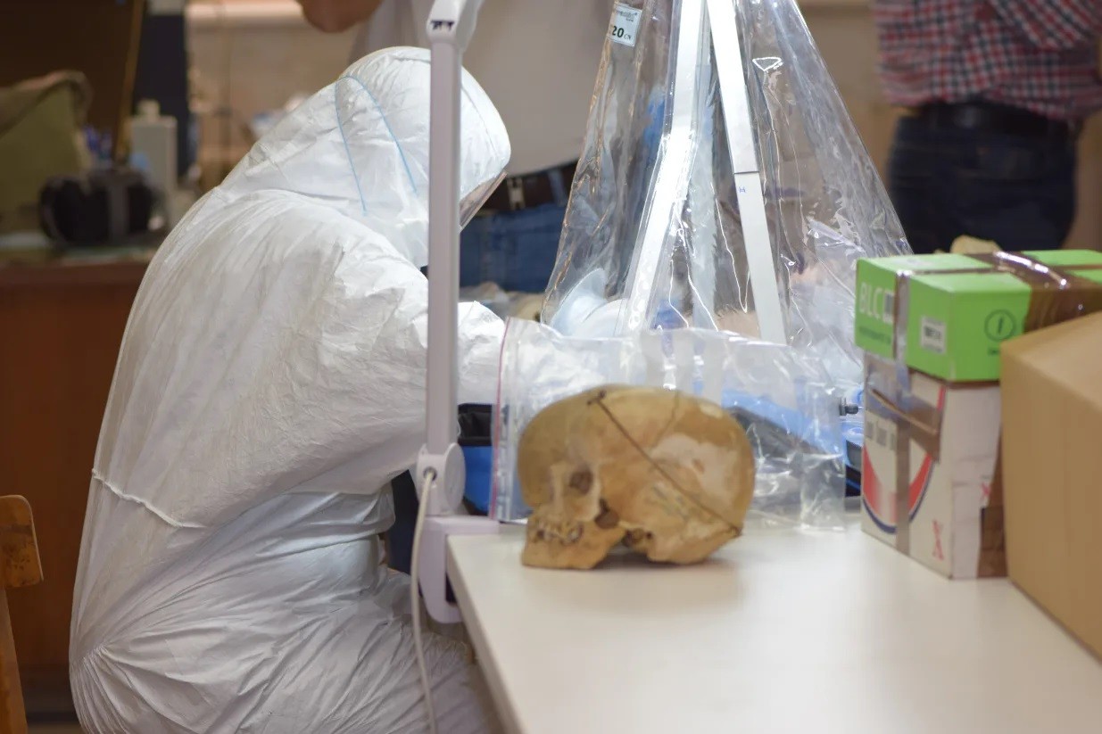 Pesquisadora Emma Svensson estuda o crânio de Peştera Muierii 1 (Foto: Mattias Jakobsson/ Universidade de Uppsala)