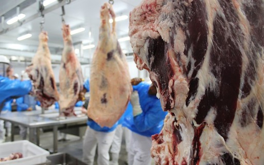 Com novas habilitações, Brasil deve ampliar acesso ao mercado de carne bovina da Indonésia
