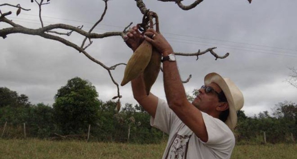 Nereu Rios continua em busca de novas sementes. — Foto: Arquivo pessoal