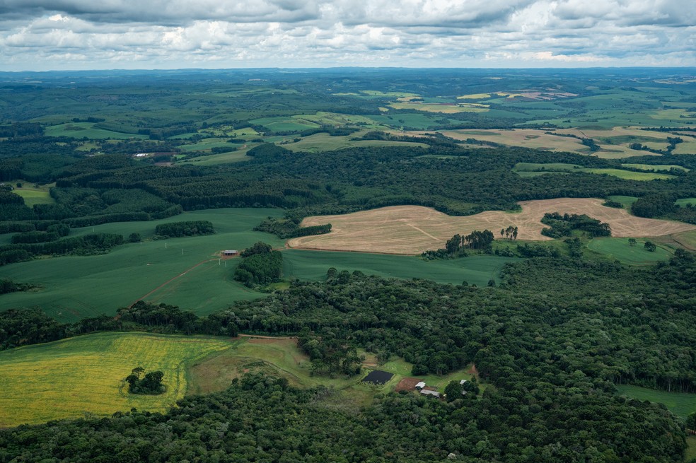 O sobrevoo no Paraná mostrou algumas áreas desflorestadas e algumas preservadas — Foto: SOS Mata Altlântica