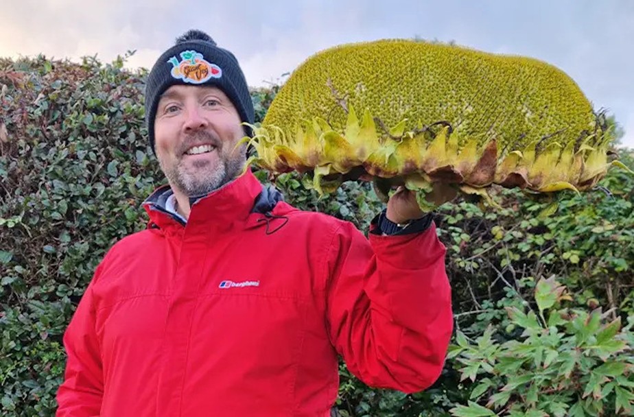O agricultor britânico Kevin Fortey com o girassol gigante, que pesa o mesmo que uma bola de boliche