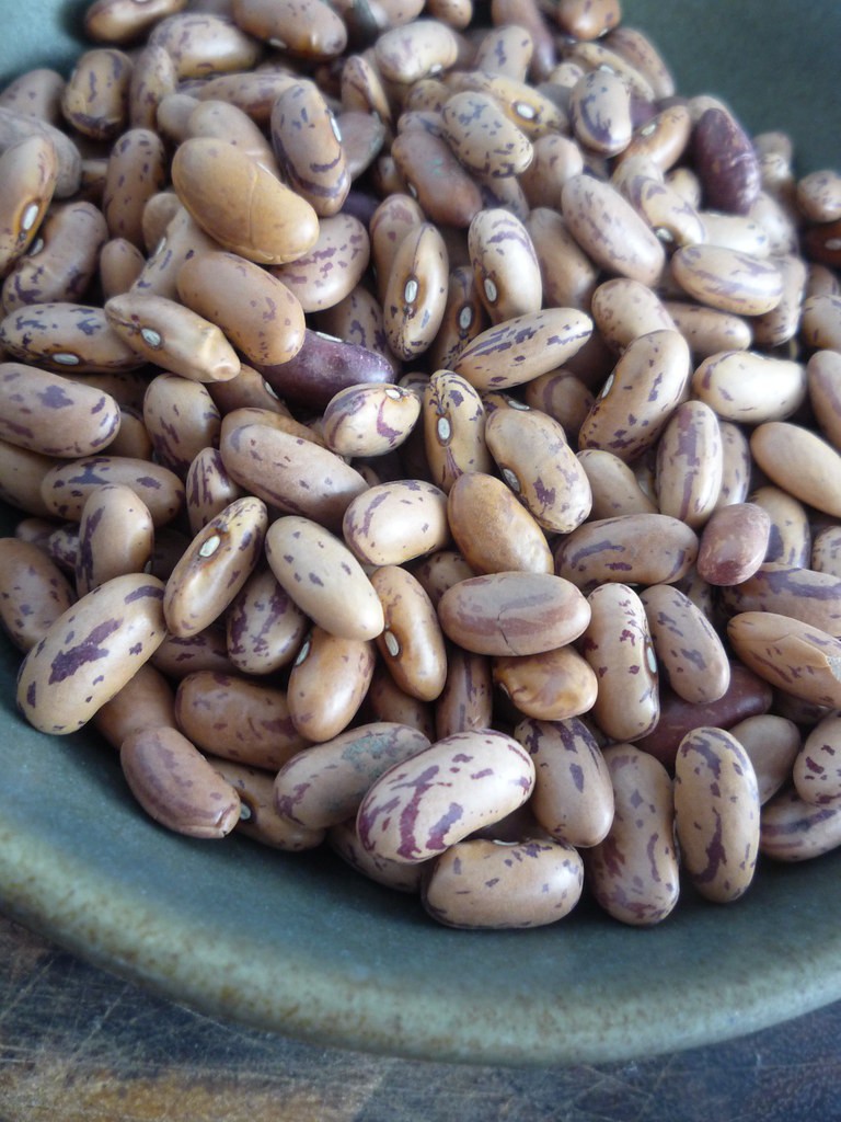feijão pinto beans (Foto: Reprodução/Flickr)