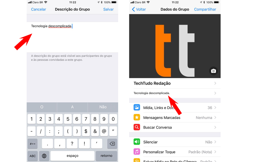 WhatsApp Grupo Descri&ccedil;&atilde;o (Foto: Reprodu&ccedil;&atilde;o/Viviane Werneck)