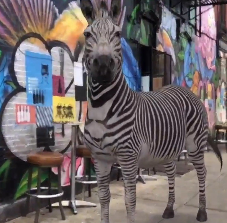Google acrescenta mais 50 animais 3D às opções de busca (Foto: Reprodução)