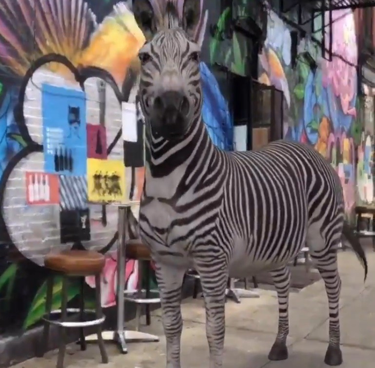 Como ver animais em 3D? Google usa realidade aumentada para criar