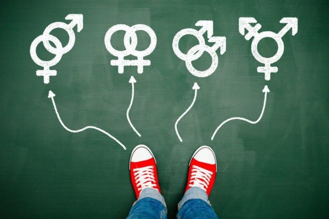 Codeplan lança pesquisa sobre gênero e orientação sexual, no DF; veja como participar