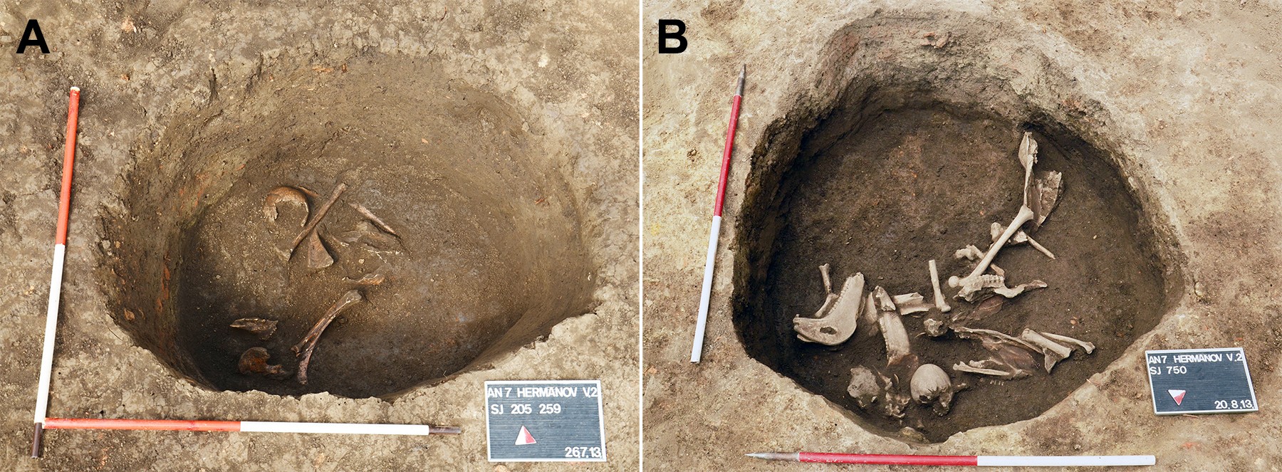 Também foram encontrados restos mortais de animais e cerâmica no sítio arqueológico (Foto: M Kavka/PLOS ONE)