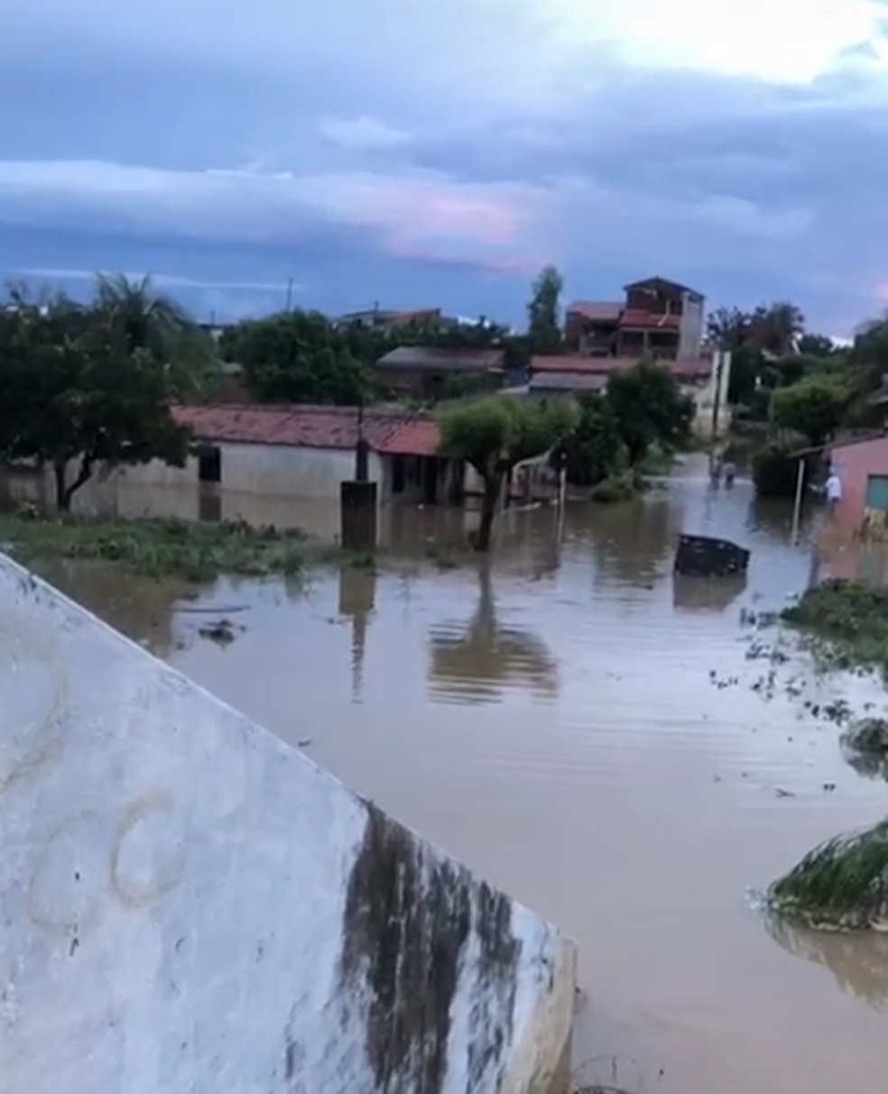 Vários bairros de Hidrolândia amanheceram alagados nesta quarta-feira. Muitas famílias estão desabrigadas. — Foto: Reprodução/TV Verdes Mares