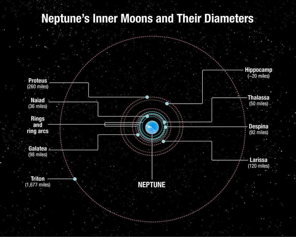As luas de Netuno e seus diâmetros — Foto: Nasa