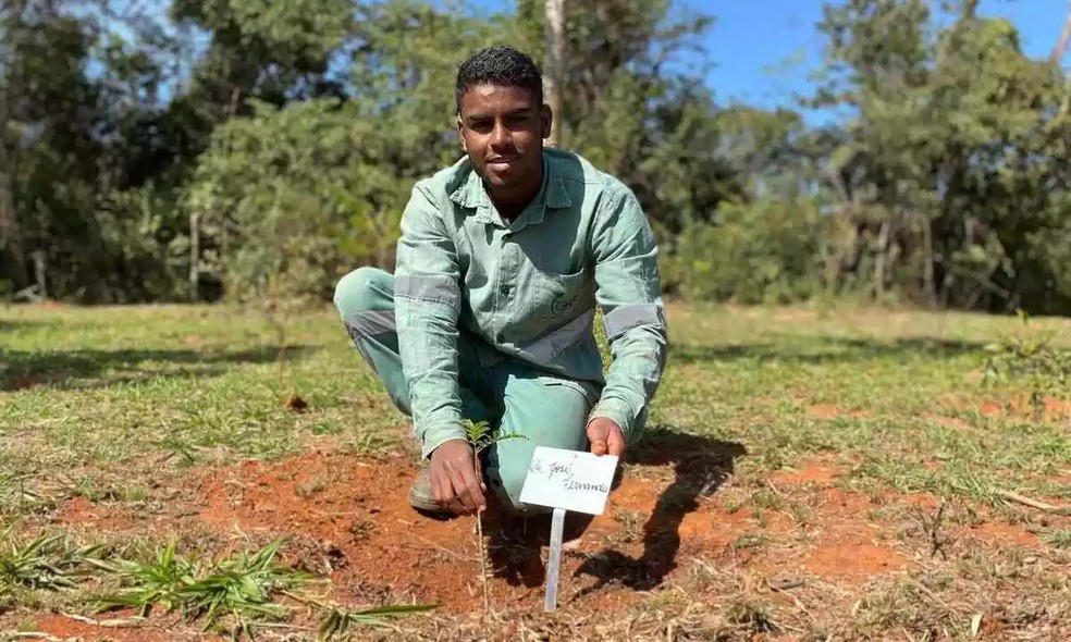 Catando sementes, jovem ajuda a reflorestar área destruída em Brumadinho — Foto: Poubel Gomes / Divulgação / Vale