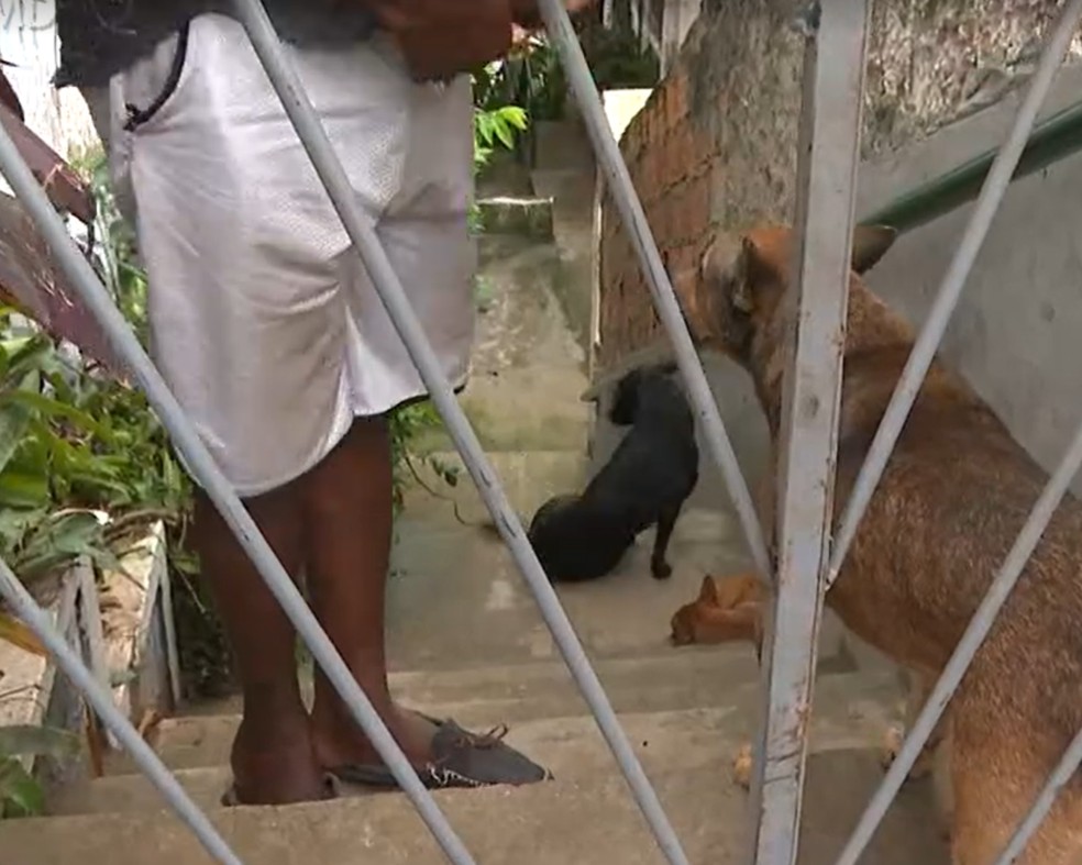 Justiça determina bloqueio de bens de patrão que mantinha homem em trabalho análogo à escravidão em Salvador — Foto: TV Bahia