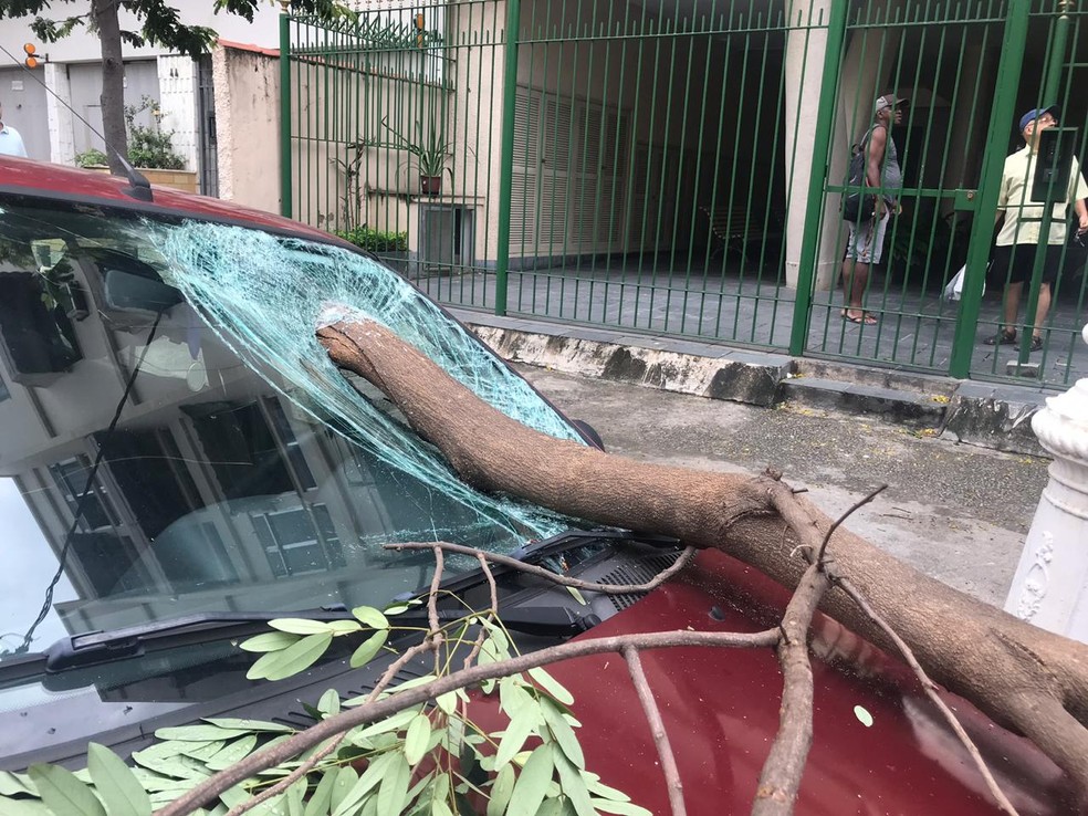 Galho de Ã¡rvore atinge carro na Rua Visconde de AbaetÃ©, em Vila Isabel â€” Foto: LÃ­via Torres/ G1
