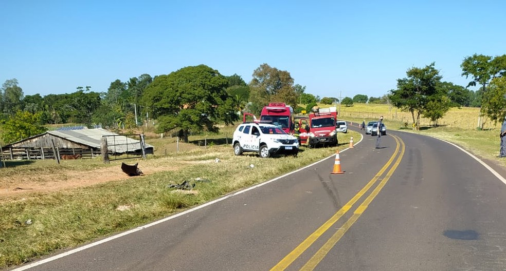 Acidente de trânsito foi registrado nesta quinta-feira (3), em Alfredo Marcondes — Foto: Polícia Rodoviária 