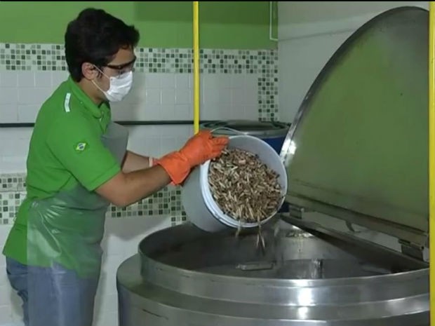 Bitucas se tornam papel após processo de reciclagem (Foto: Reprodução/TV TEM)