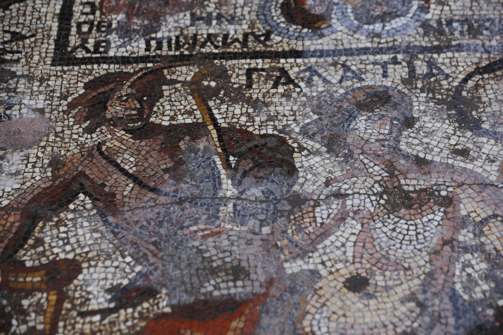 Foto mostra detalhe de enorme mosaico da era romana que foi descoberto em Rastan, na Síria — Foto: Omar Sanadiki/AP