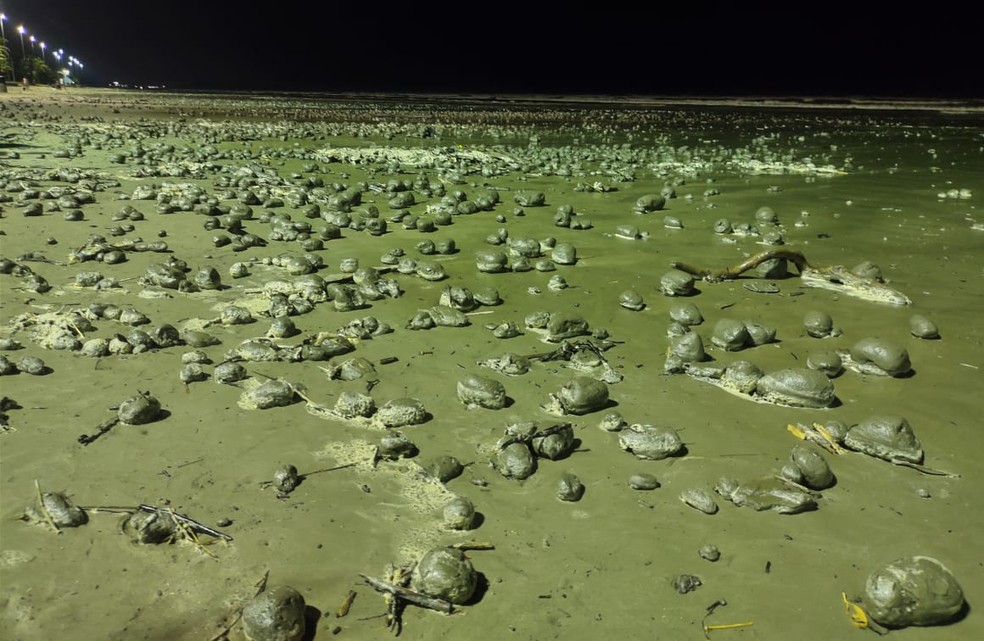 Centenas de bolas formadas por lama apareceram em praias Peruíbe, SP — Foto: Diogo Cavalcanti de Souza/Arquivo Pessoal