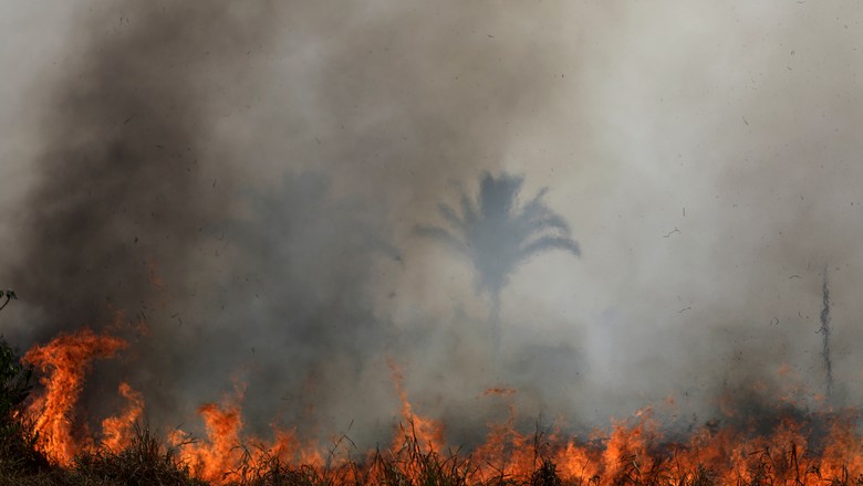 Foco de incêndio em área da floresta amazônica perto de Porto Velho (Foto: Ueslei Marcelino/Reuters)