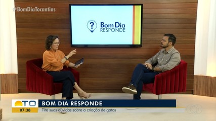 Especialista tira dúvida dos telespectadores sobre gatos no Bom Dia Responde