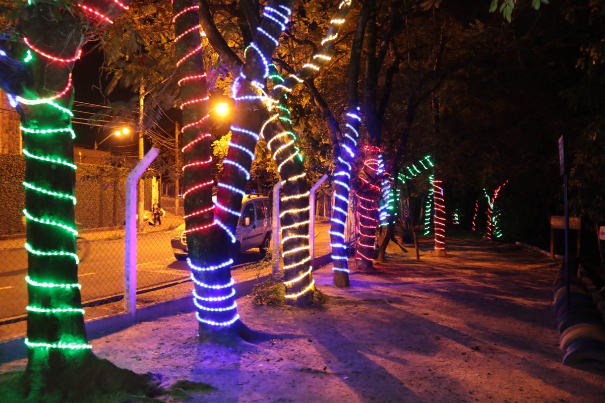 Natal Iluminado no Parque do Matão será aberto neste domingo em Votorantim - G1