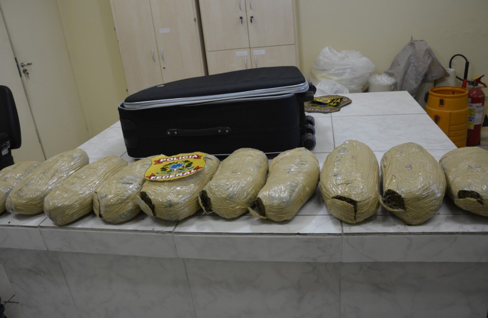 Droga estava escondida dentro de uma mala (Foto: Divulgação/Polícia Federal)