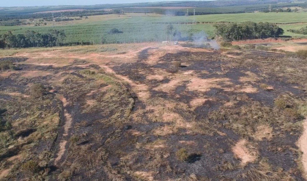 Área de mata foi queimada e não houve feridos e nem danos materiais em Bauru — Foto: César Culiche / TV TEM 