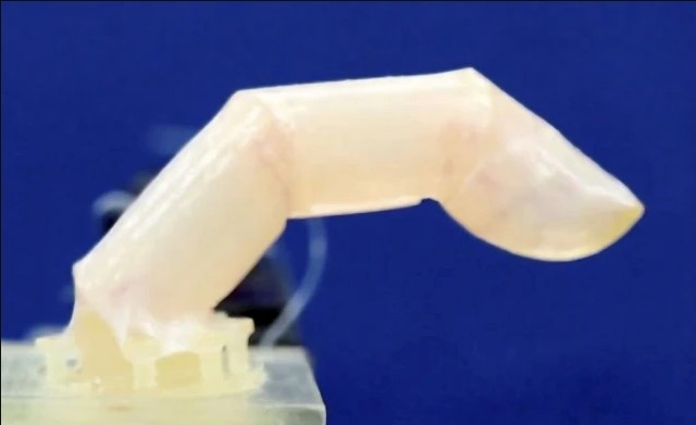 Dedo de robô recoberto com pele feita com células humanas (Foto: Shoji Takeuchi / SWNS)