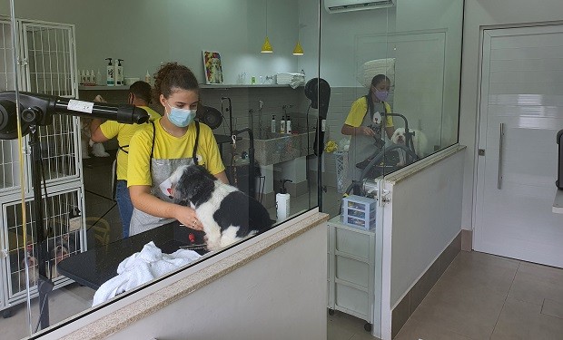 A  Doggi é focada em serviços de banho e tosa, e os serviços são agendados apenas por aplicativos (Foto: Divulgação)