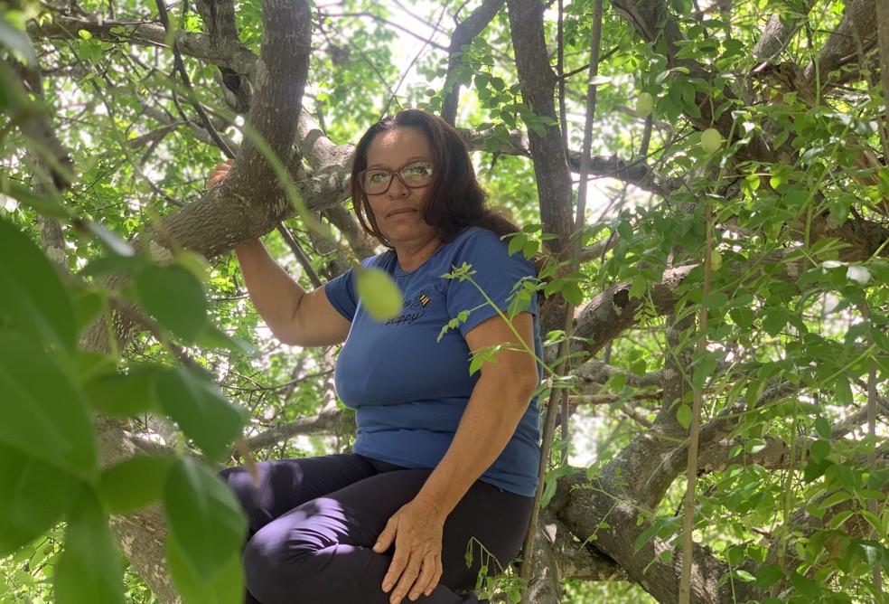 Lucineide Ferraz transforma os frutos da Caatinga em doces e geleias — Foto: Caroline Rangel/TV Globo