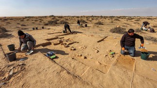 Os fragmentos, exumados no deserto de Negev, fronteira com o Egito, apresentam um estado de conservação “excepcional” — Foto: Gil Cohen-Magen / AFP