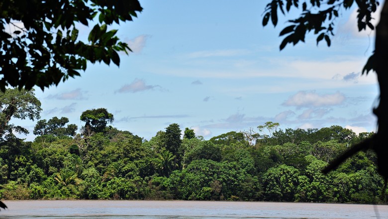 rio-madeira-amazonia-amazonas-parque-nacional-mapinguari (Foto: Creative Commons/Renato Gaiga)