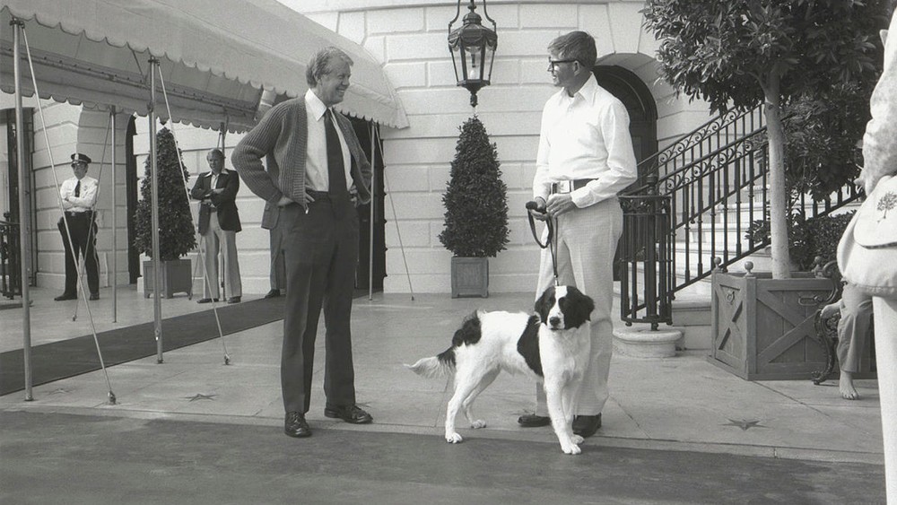 Grits, cachorro do ex-presidente dos EUA Jimmy Carter