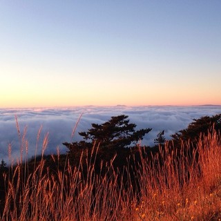 Foto de Karl, the San Francisco Fog