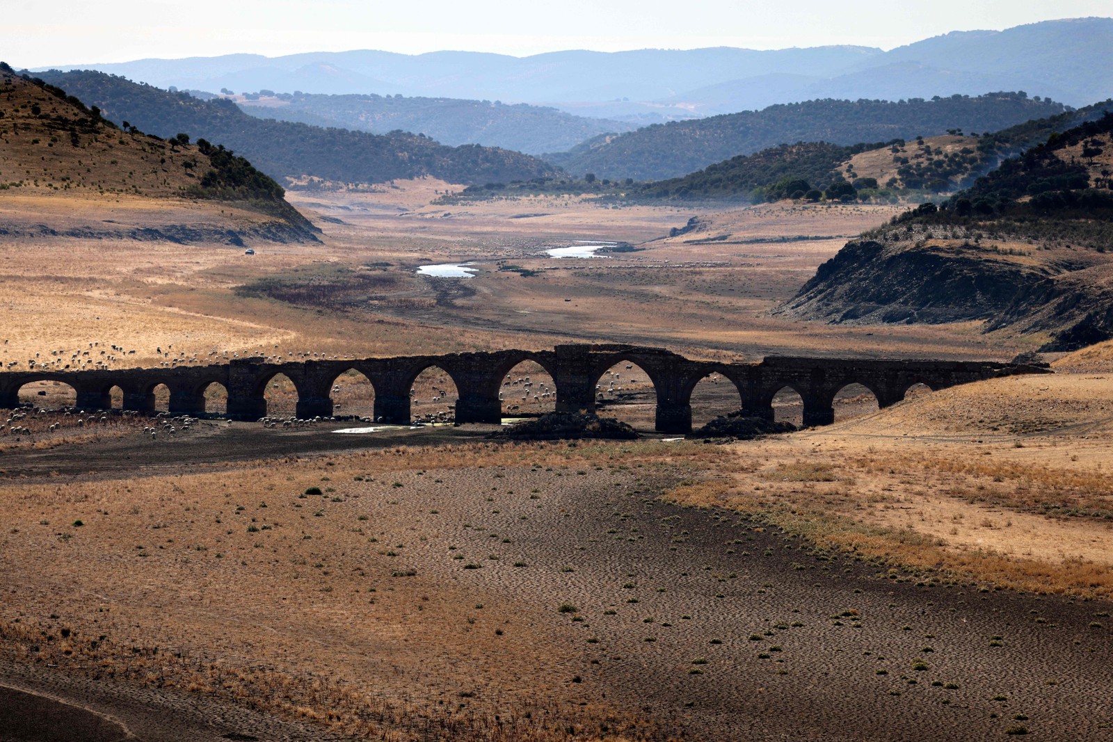 Parte do rio Guadiana secou e dá lugar à terra firme sob a ponte medieval Puente de la Mesta em Villarta de los Montes, na região centro-oeste espanhola de Extremadura, em 16 de agosto de 2022 — Foto: Thomas Coex / AFP