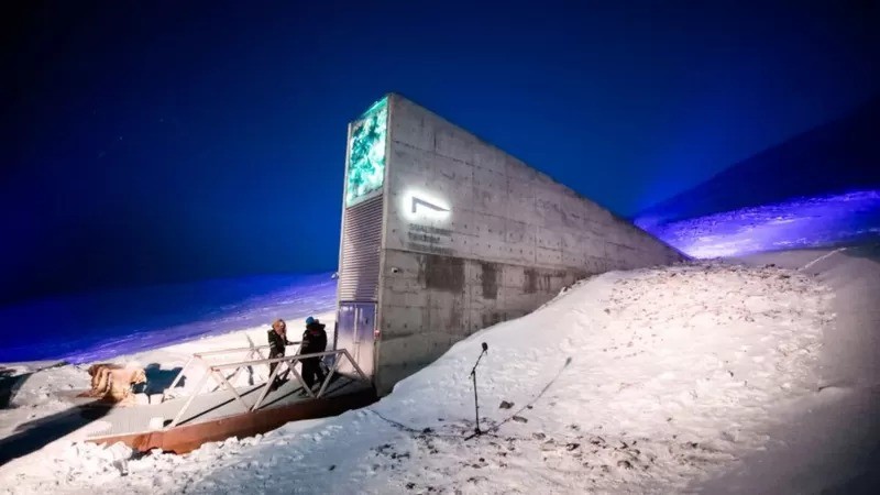 O Banco Mundial de Sementes de Svalbard está localizado no Ártico (Foto: GImages via BBC News B)