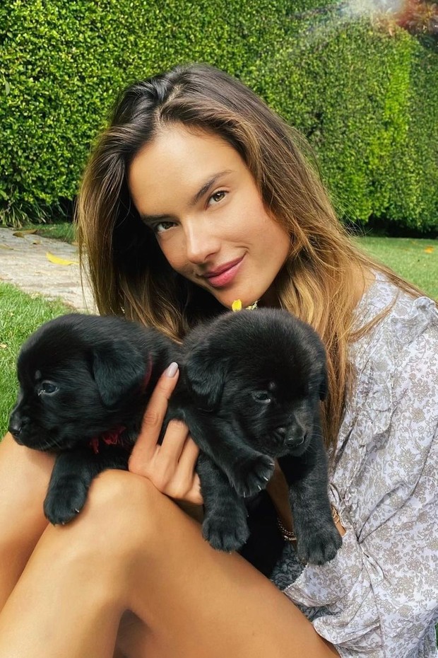 Alessandra Ambrosio apresenta novos membros da família (Foto: Reprodução/Instagram)