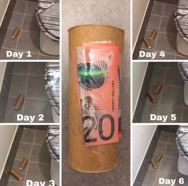 O dinheiro ficou preso ao rolo de papel higiênico por sete dias (Foto: Reprodução)