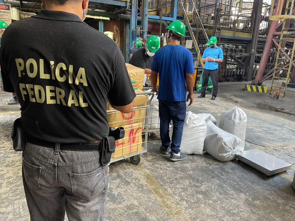 Polícia Federal incinera 2,6 toneladas de drogas apreendidas no RN — Foto: Divulgação