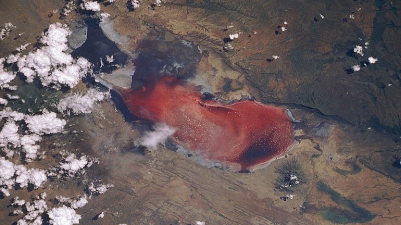 Lago Natron tem coloração vermelho-sangue (Foto: NASA/Creative Commons)